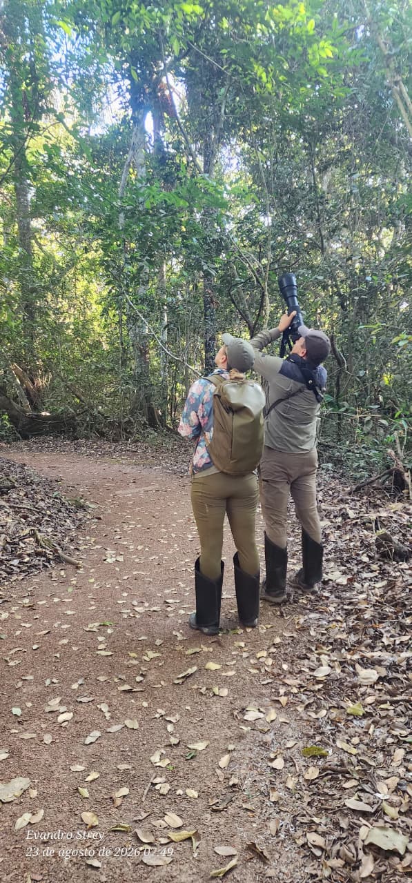 Observação de natureza em trilha sombreada no Refúgio das Águas
